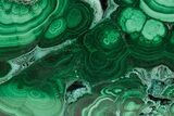 Flowery Polished Malachite Slab - D R Congo #379715-1